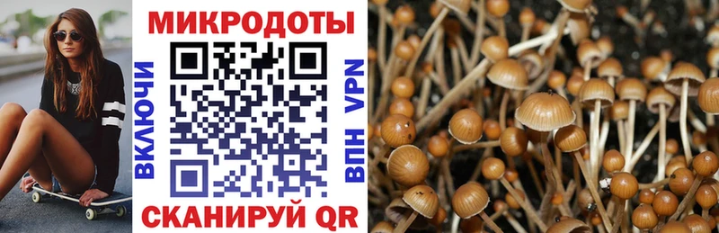 omg сайт  Бийск  Псилоцибиновые грибы Psilocybe  где можно купить  