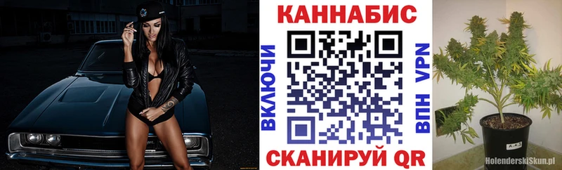 мориарти наркотические препараты  где купить наркотик  Бийск  Бошки марихуана семена 